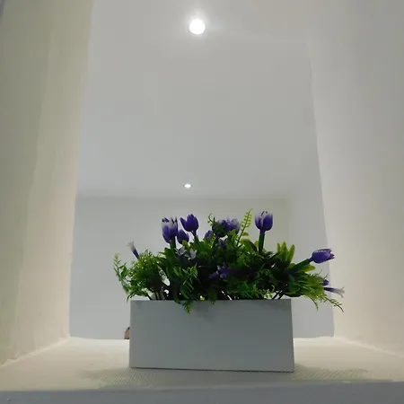 La Casa Fiorentina Floransa